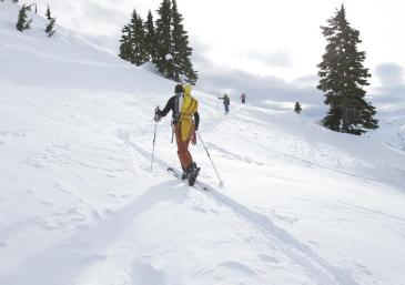 Ski touring