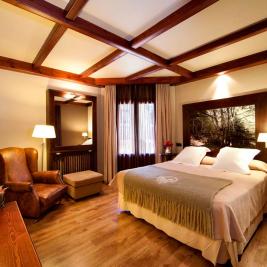 Double Room of the Hotel Ciria